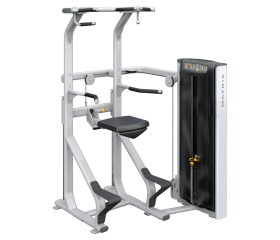 Matrix Versa Assisted Chin / Dip